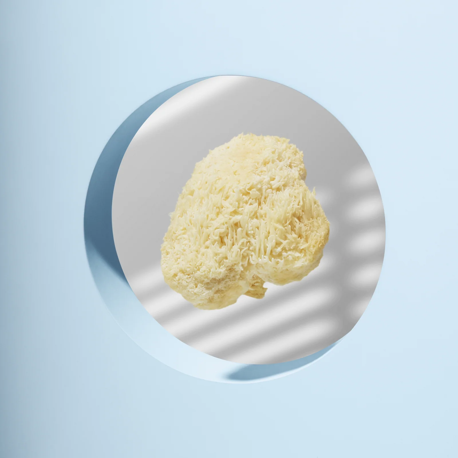 Pale textured mushroom on a white plate with striped shadows against blue.