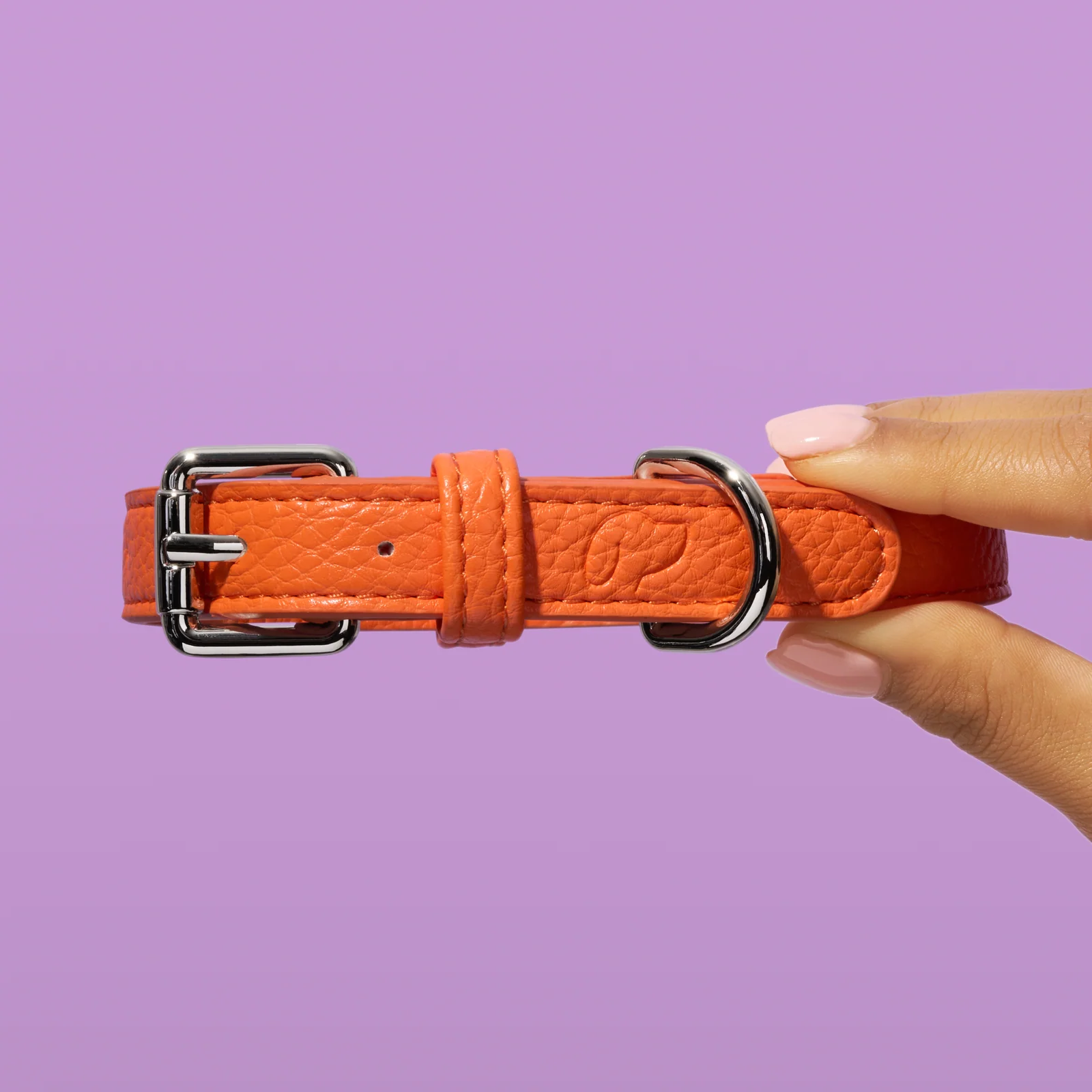 Hand holding an orange Truffle and Paw leather collar with silver-coloured fittings against lilac.