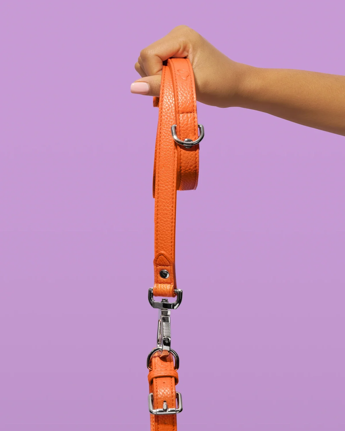 Hand holding an orange Truffle and Paw leather lead against lilac.